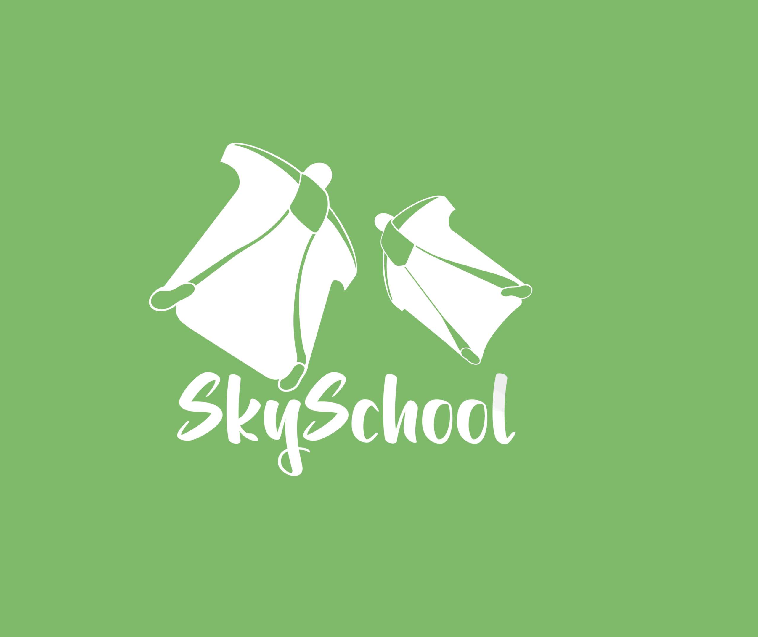 Logo Skyschool fond vert Logo Skyschool fond vert